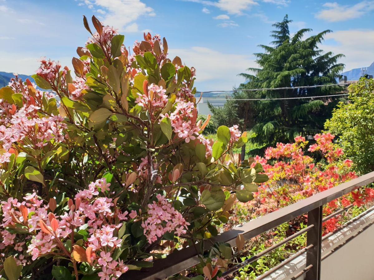 Domus Rose Rooms Bolzano Exterior foto
