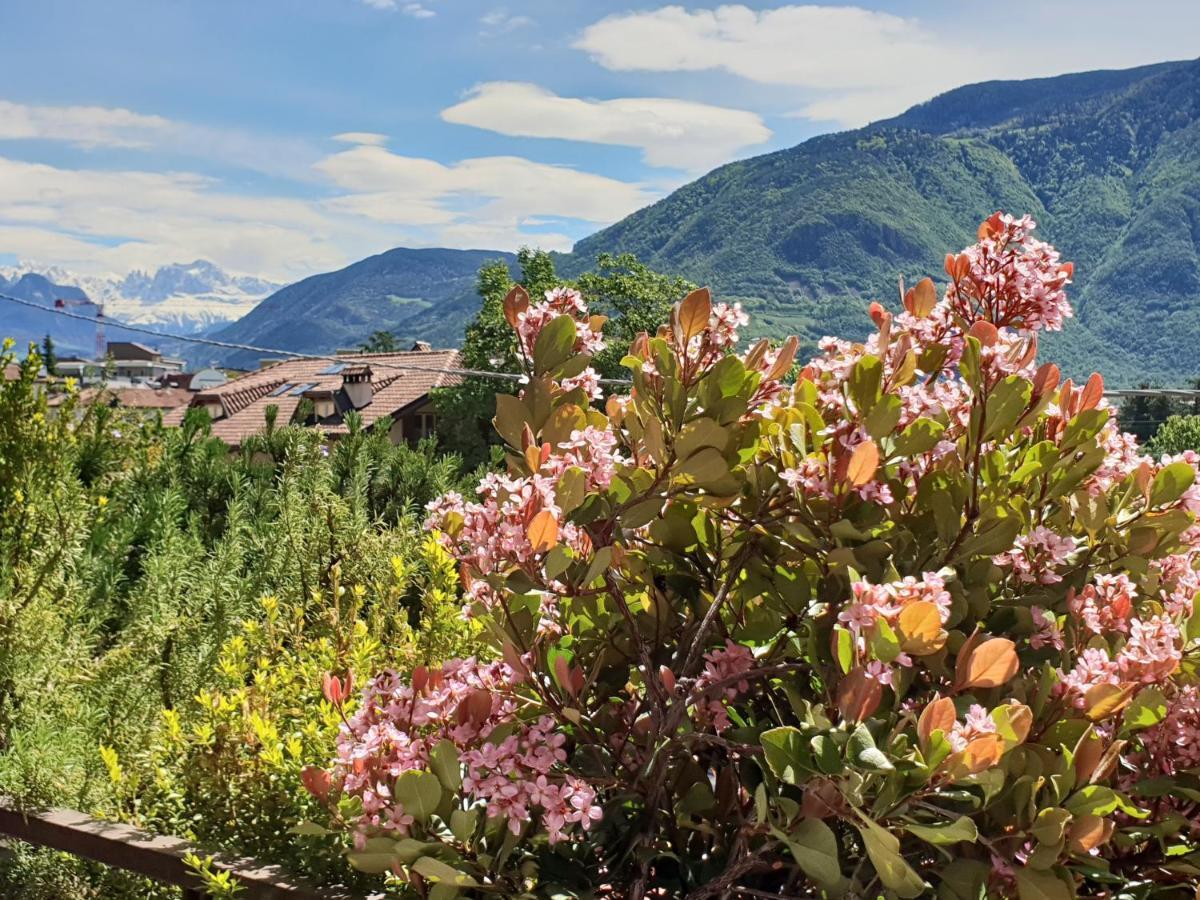 Domus Rose Rooms Bolzano Exterior foto